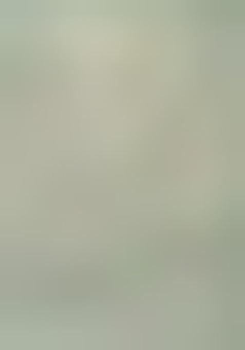 Beige Kalamkari Chanderi Saree Set With Blouse