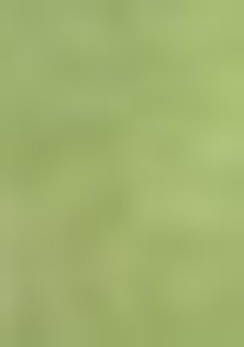 Green Patola Zari Weaving Design Soft Silk Saree Set With Blouse