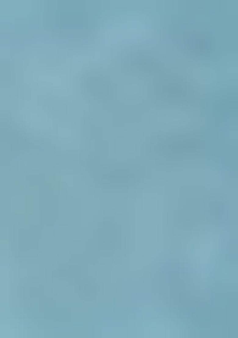 Light Green Meenakari Flower Designs Pure Banarasi Paithani Silk Saree Set With Blouse