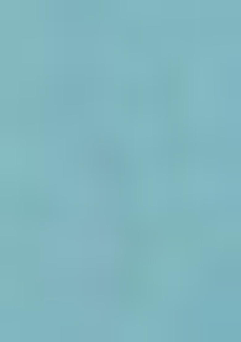 Orange Meenakari Flower Designs Pure Banarasi Paithani Silk Saree Set With Blouse