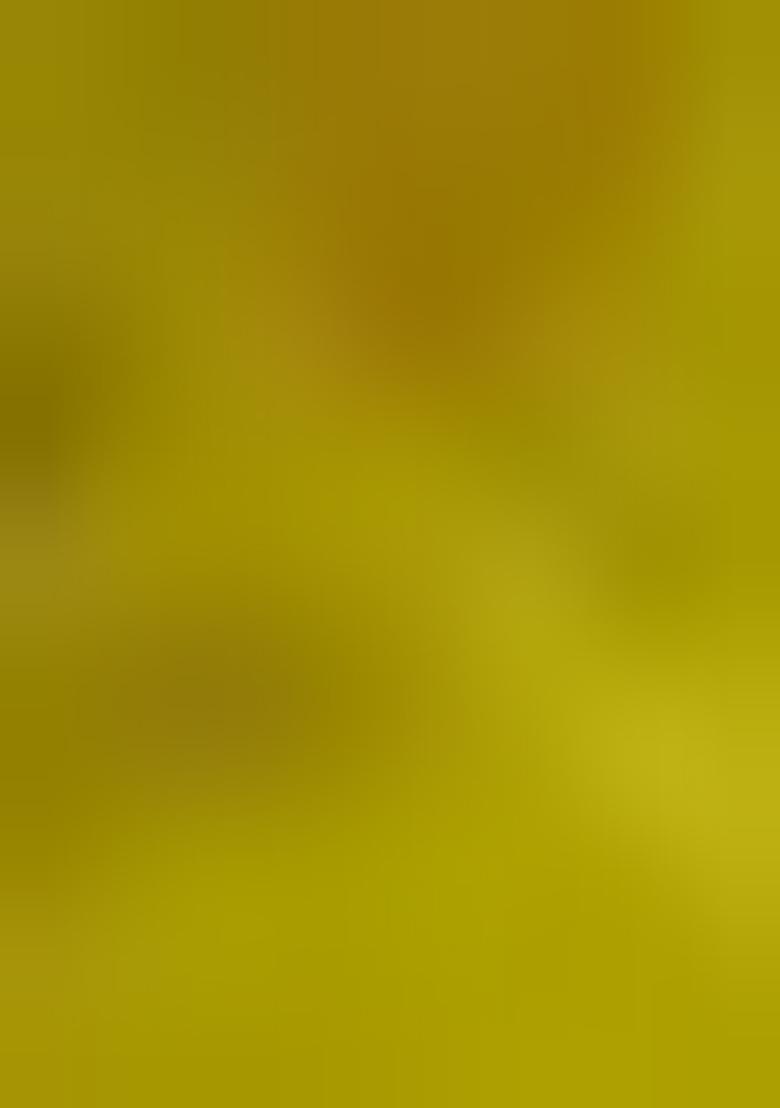 Parrot Green Solid Silk Saree