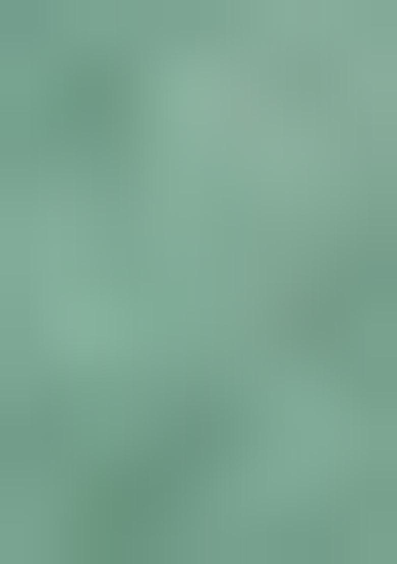 Sea Green Zari Work Cotton Blend Saree Set