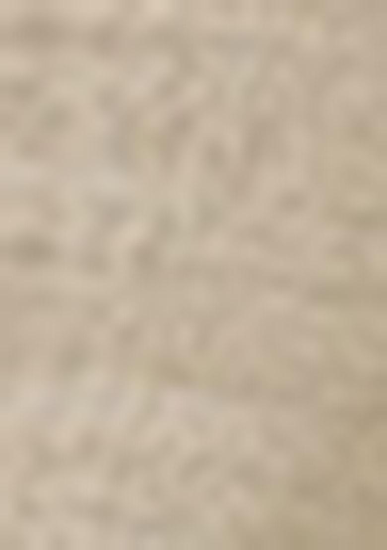 Cream Zari Work Cotton Blend Saree Set