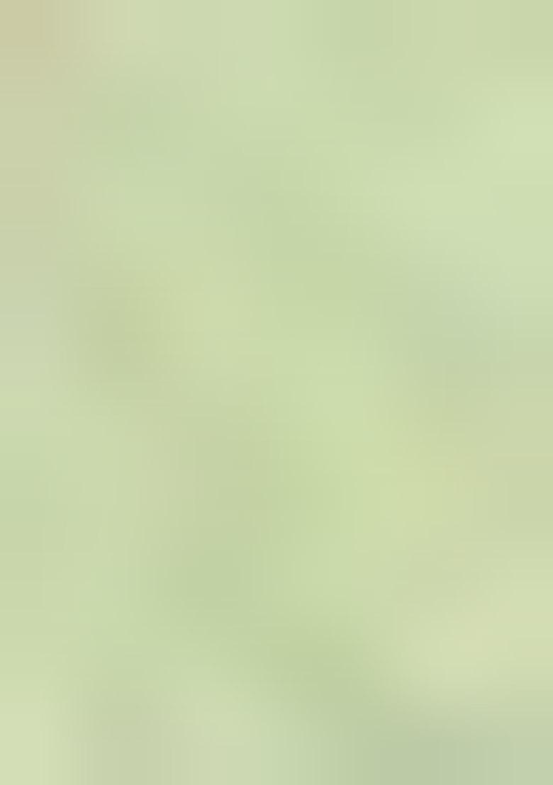 Light Green Woven Cotton Blend Saree Set