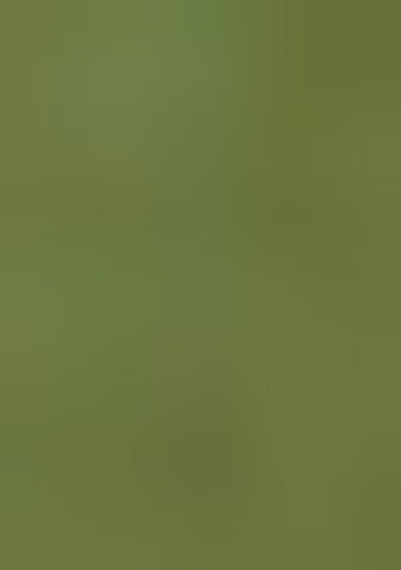 Green Printed Georgette Saree Set