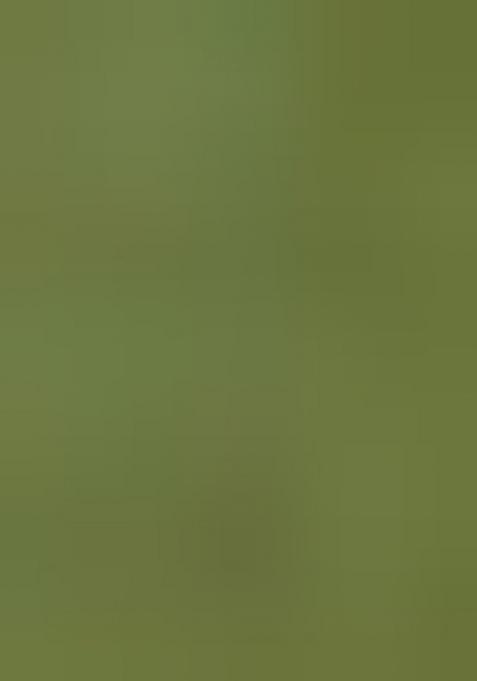 Green Printed Georgette Saree Set