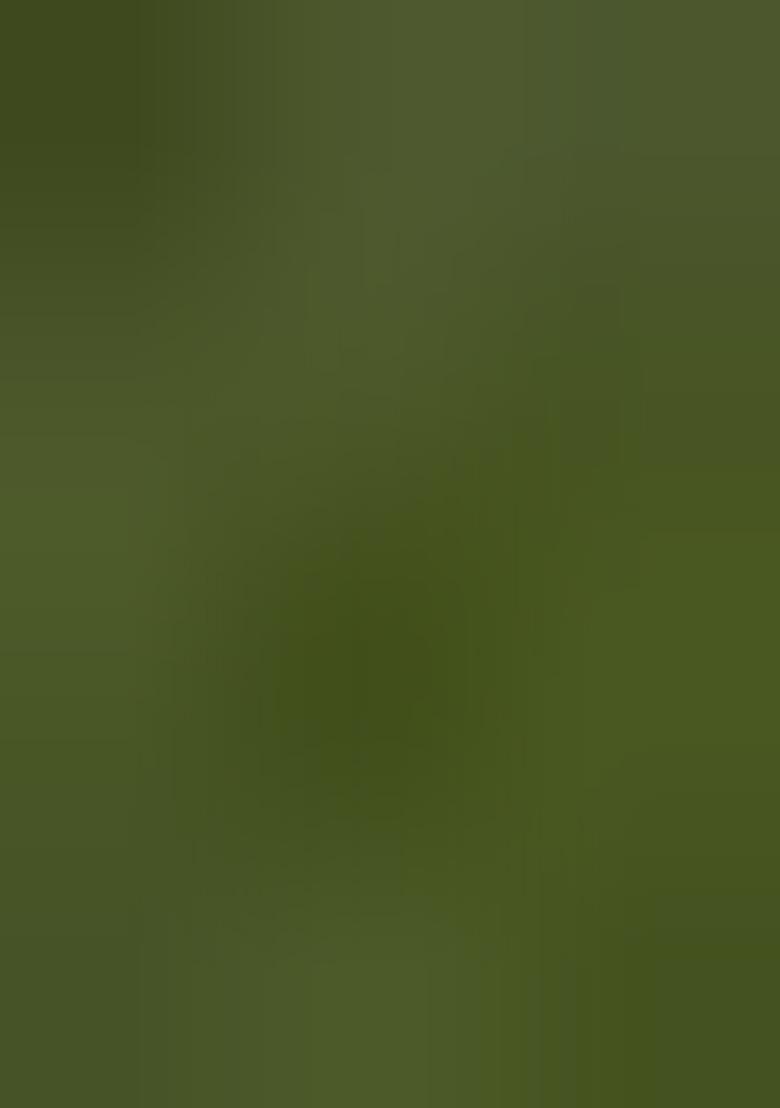 Mehendi Green Digital Print Silk Saree set