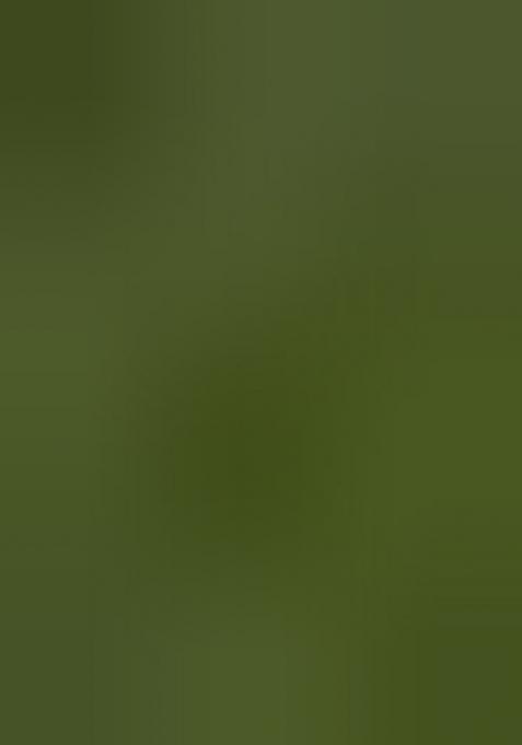 Mehendi Green Digital Print Silk Saree set