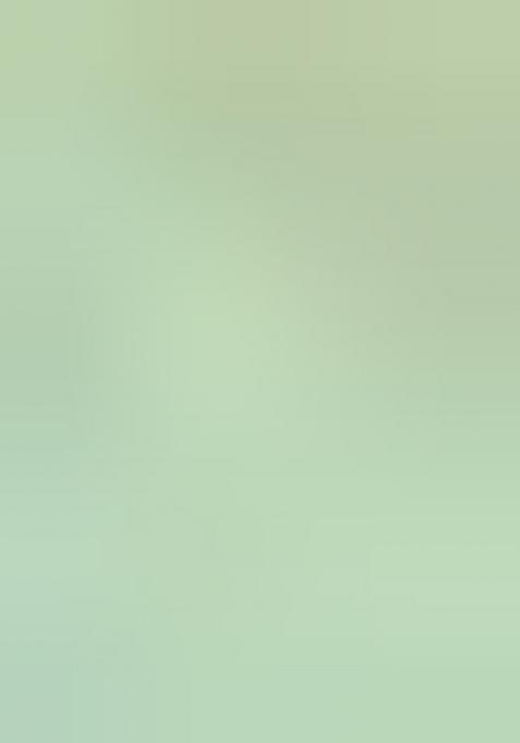 Green Solid Silk Saree Set