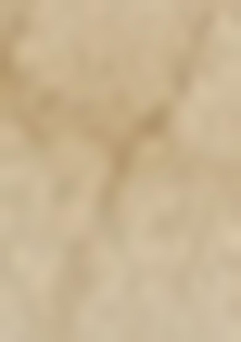 Cream Solid Cotton Saree Set