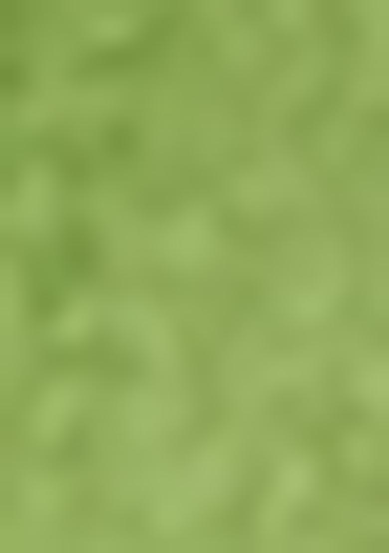 Green Solid Cotton Saree Set