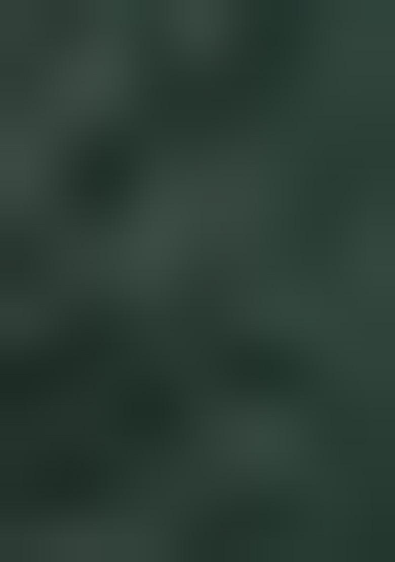 Green Printed Poly Blend Saree Set