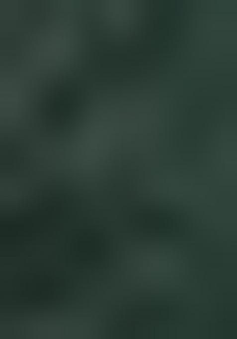 Green Printed Poly Blend Saree Set