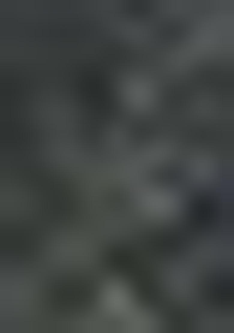 Mehendi Green Printed Poly Blend Saree Set