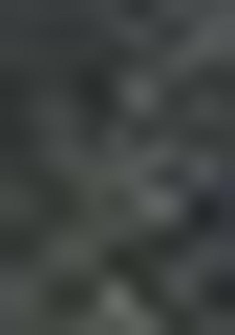 Mehendi Green Printed Poly Blend Saree Set