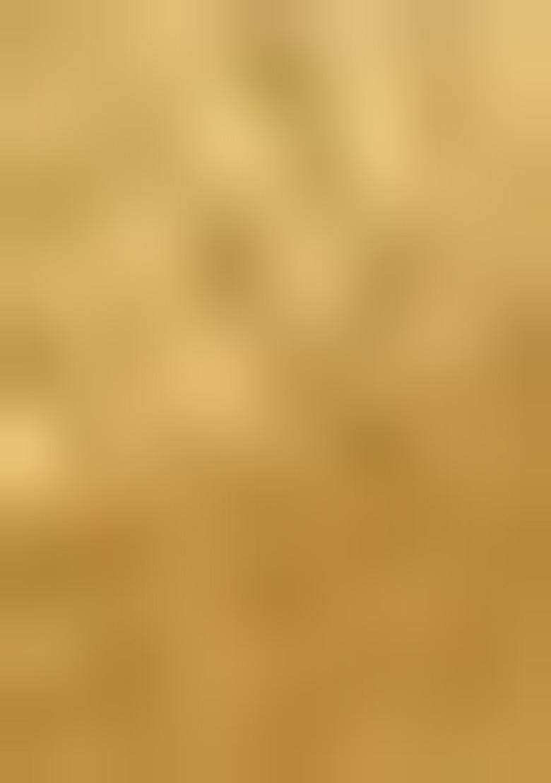 Gold Zari Weaving Work Poly Blend Saree Set