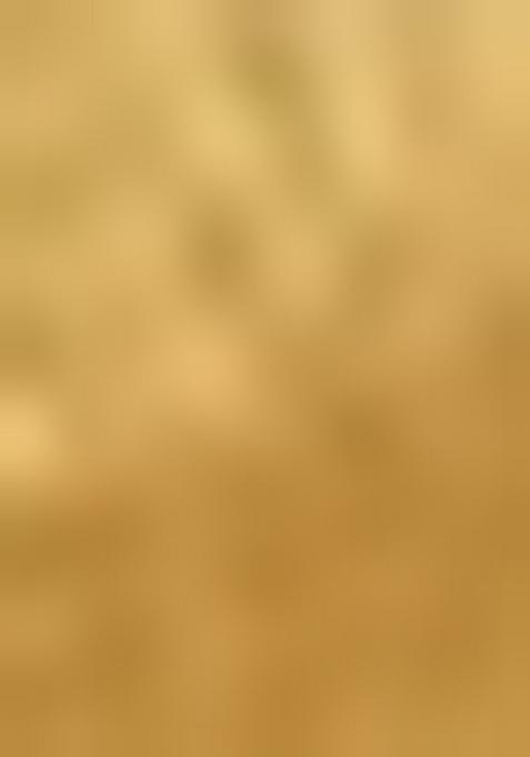 Gold Zari Weaving Work Poly Blend Saree Set