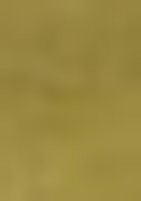 Pista Green Zari Weaving Work Poly Blend Saree Set