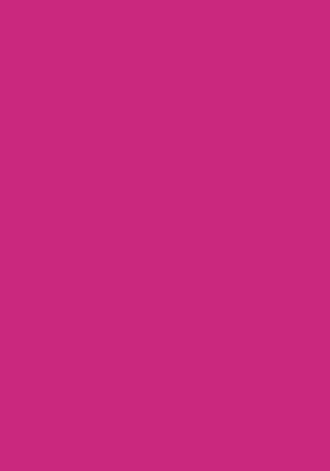 Magenta Meenakari Paithani Silk Saree Set