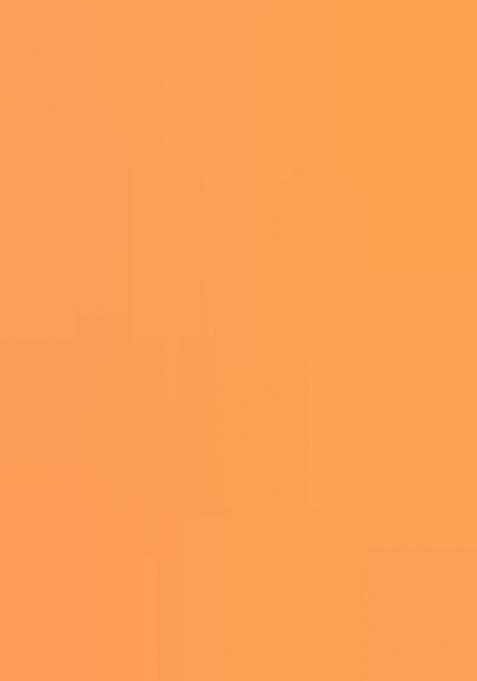 Orange Meenakari Paithani Silk Saree Set