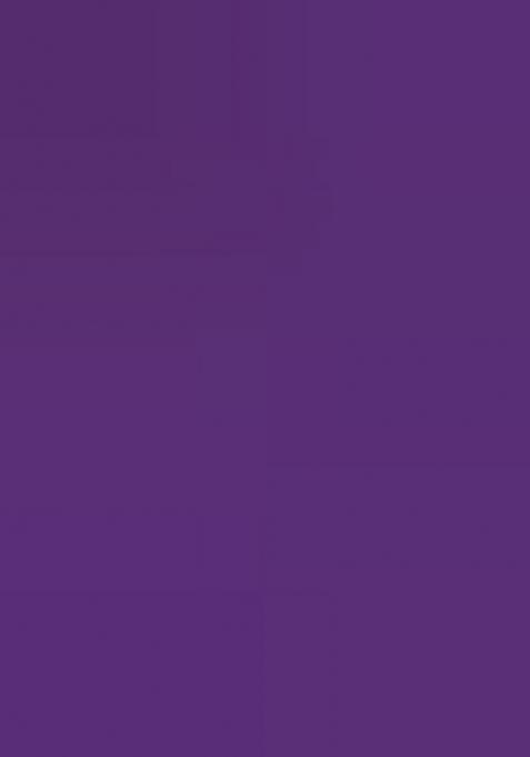 Voilet Meenakari Paithani Silk Saree Set