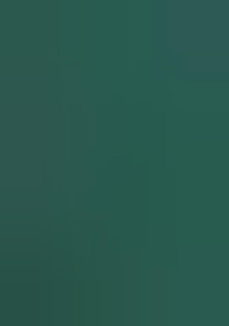 Green Meenakari Banarasi Silk Saree Set