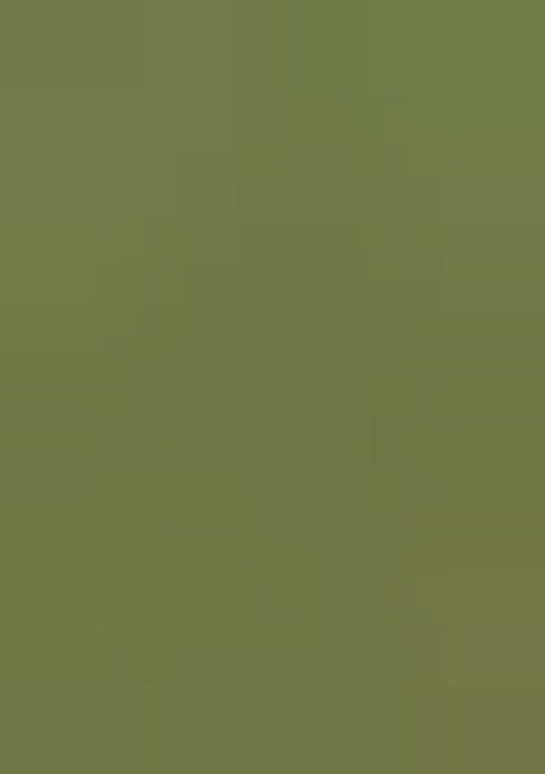 Mehendi Green Meenakari Banarasi Silk Saree Set