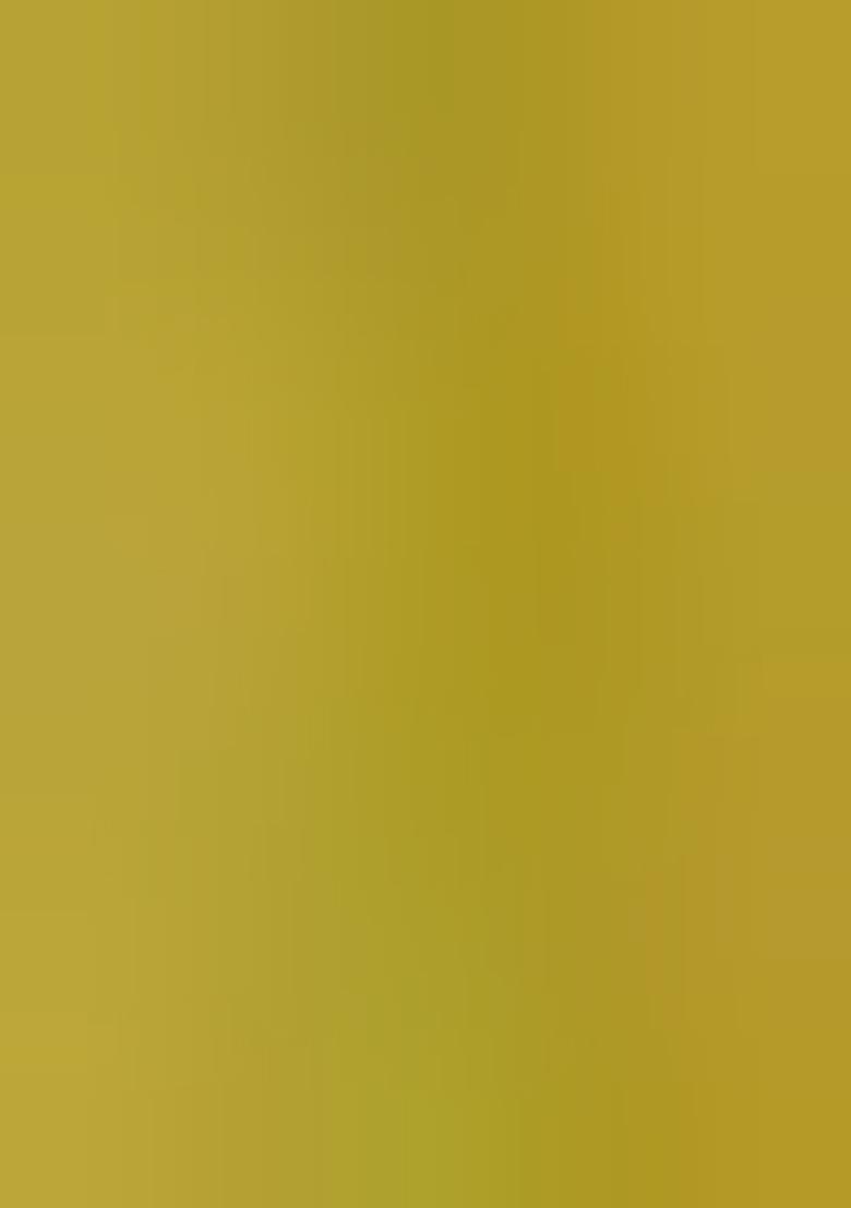 Mehendi Green Meenakari Paithani Silk Saree Set