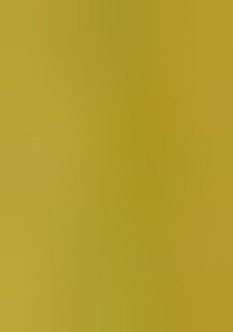 Mehendi Green Meenakari Paithani Silk Saree Set