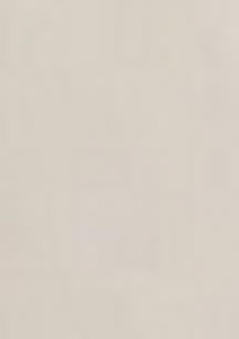 Beige Printed Vichitra Silk Saree Set