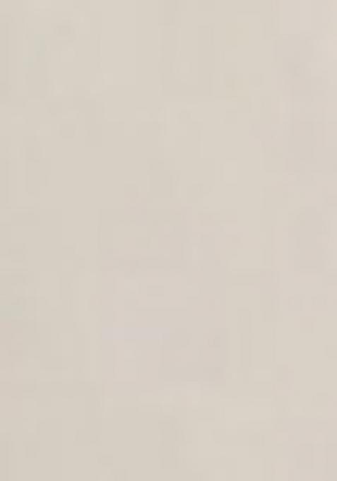 Beige Printed Vichitra Silk Saree Set