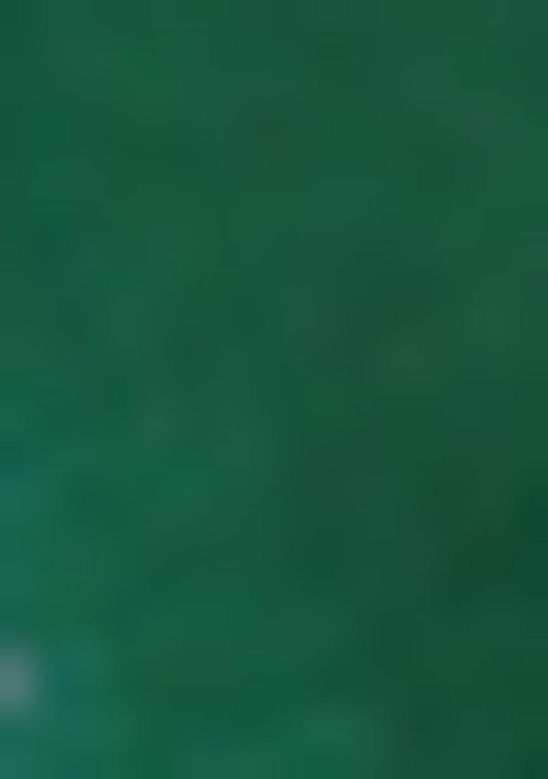 Green Bandhani Print Georgette Saree Set