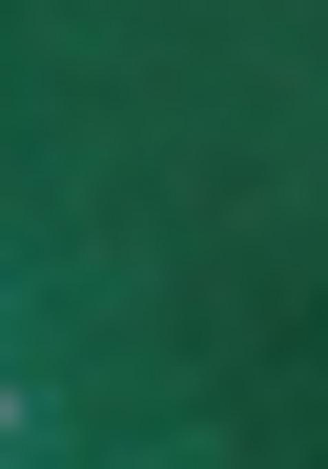 Green Bandhani Print Georgette Saree Set