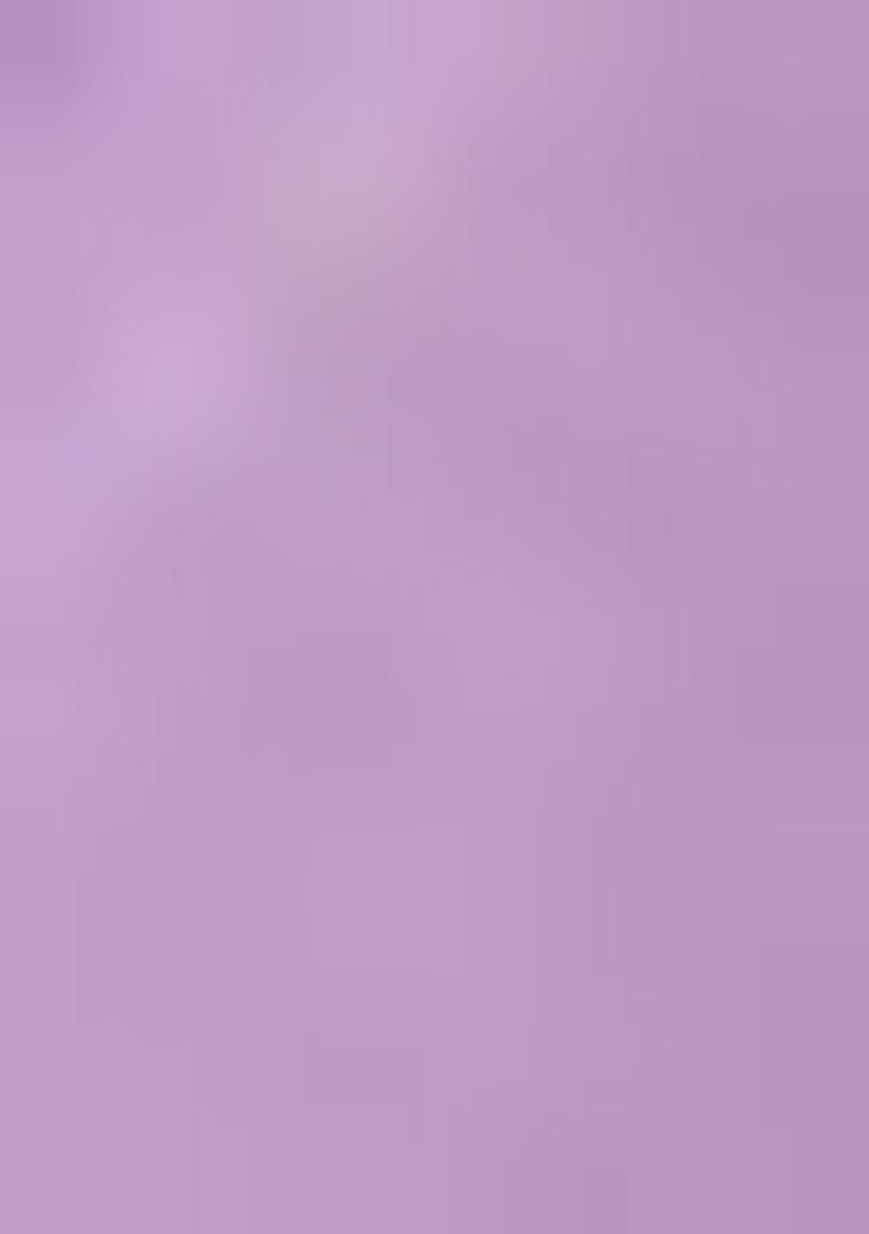 Lavender Lace Border Twill Net Saree Set