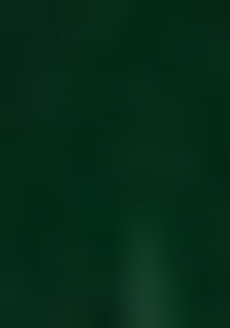 Green Lace Border Georgette Saree Set