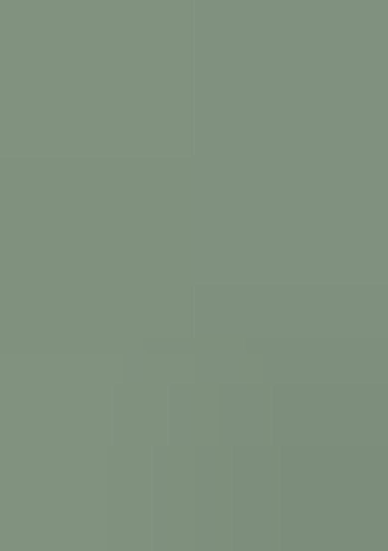 Green Embellished Organza Saree Set