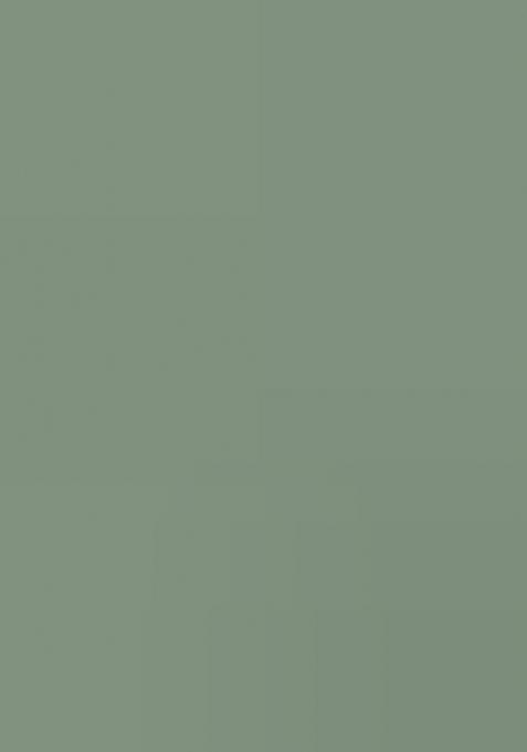 Green Embellished Organza Saree Set