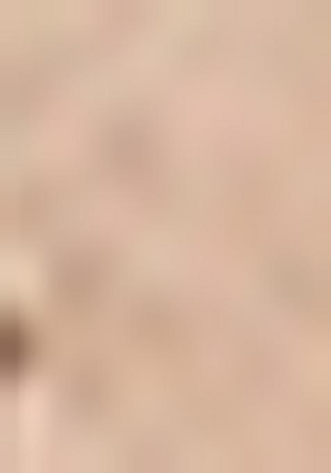 Brown Woven Design Viscose Saree Set