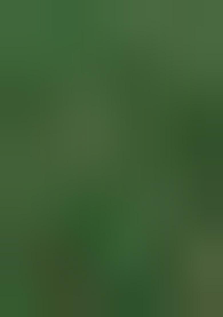 Green Woven Design Viscose Saree Set