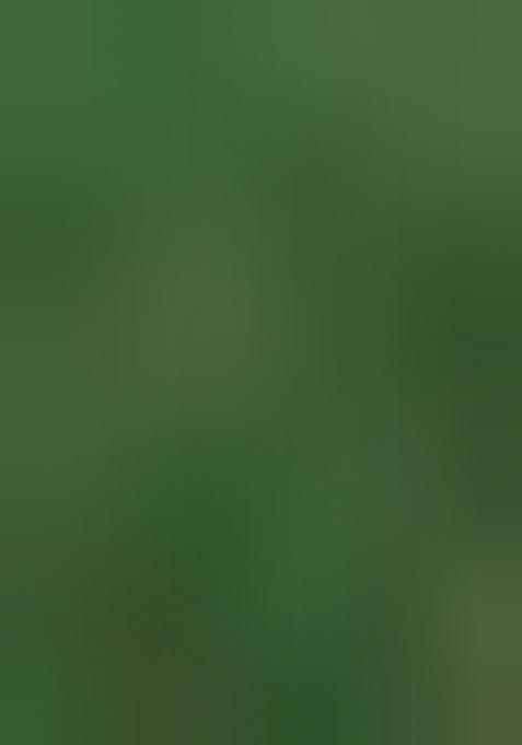 Green Woven Design Viscose Saree Set