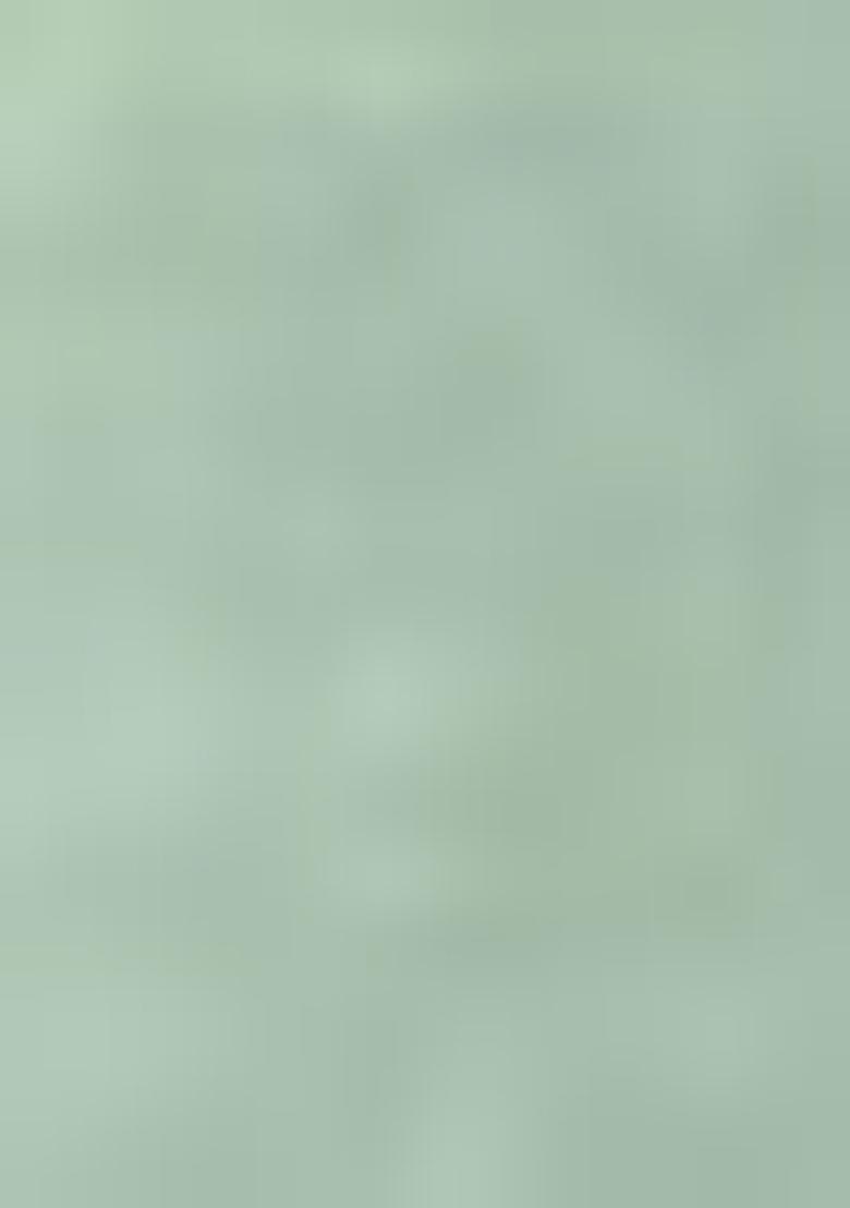 Mint Green Embroidery Work Handwork Fancy Saree Set