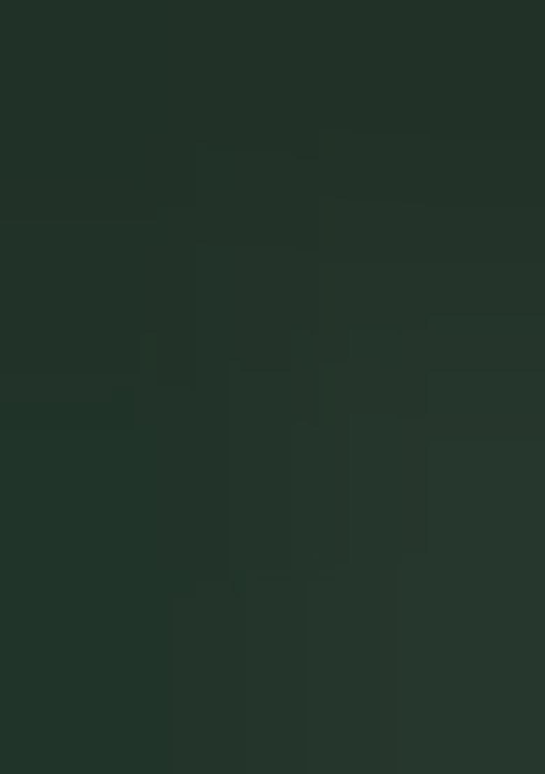 Green Patola Print Silk Saree Set With Belt