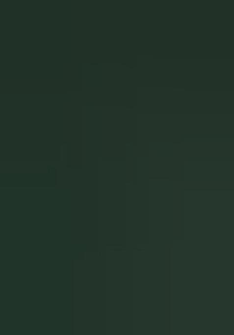 Green Patola Print Silk Saree Set With Belt