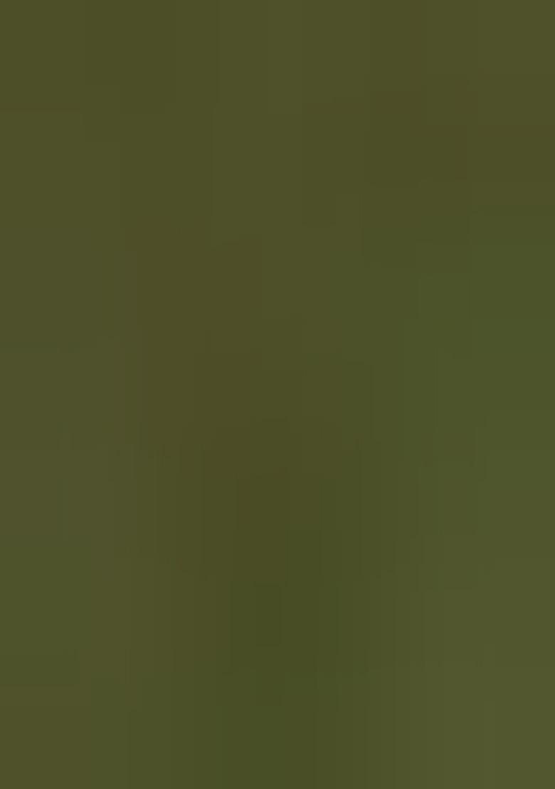 Green Embroidered Tissue Silk Saree Set