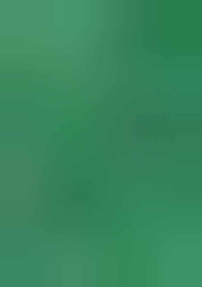 Green Embroidered Soft Silk Saree Set