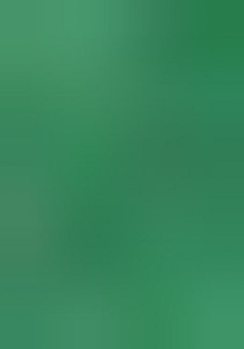 Green Embroidered Soft Silk Saree Set