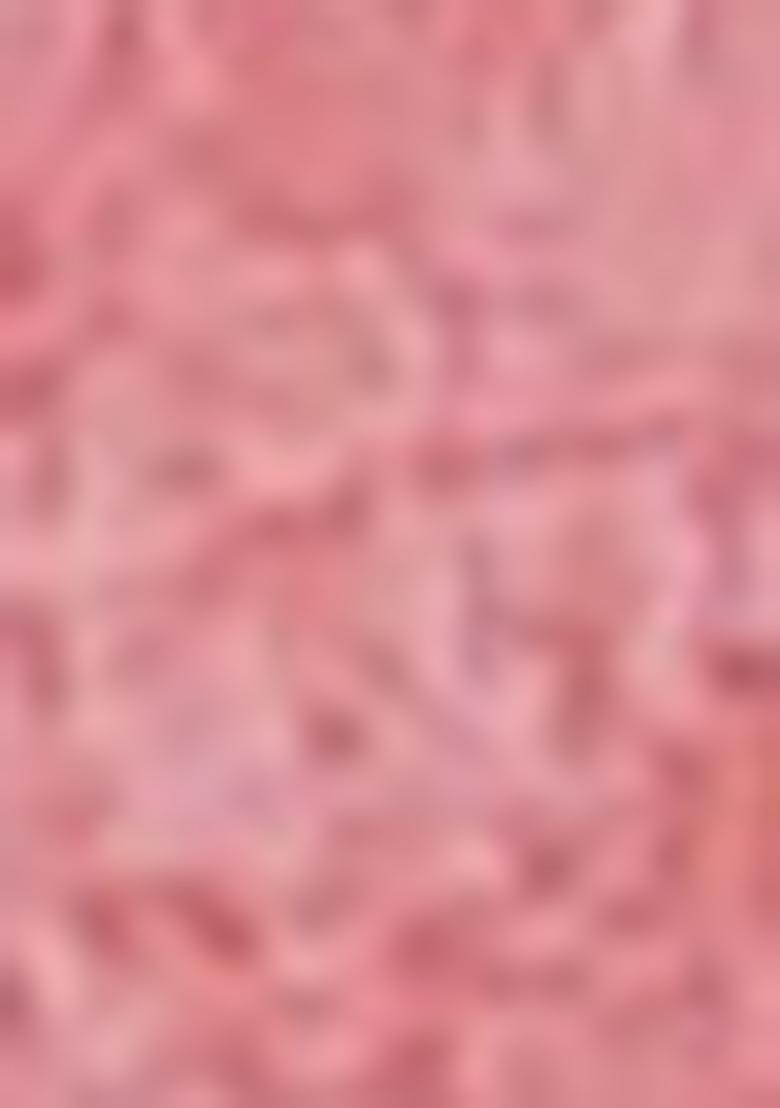 Multi Embroidered Chinon Saree Set