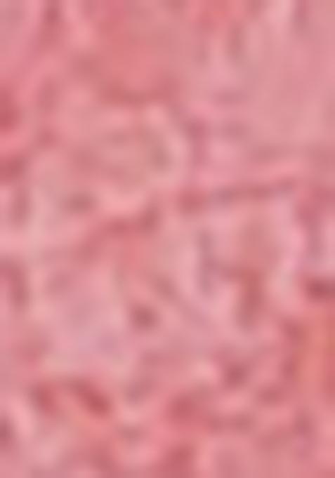 Multi Embroidered Chinon Saree Set