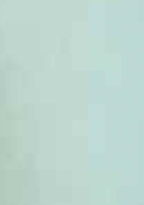 Sky Blue Designer Position Digital Foil Printed Crepe Silk Saree Set