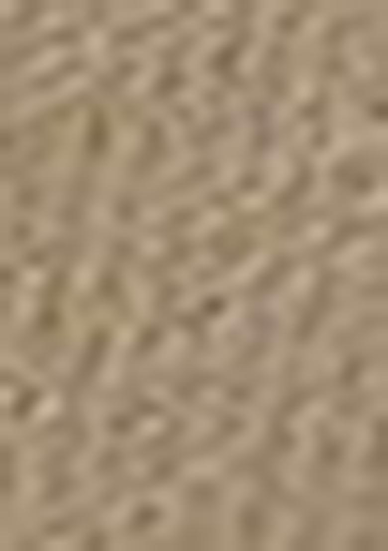 Grey Wevon Jacquard Designer And Printed Rich Silk Saree Set